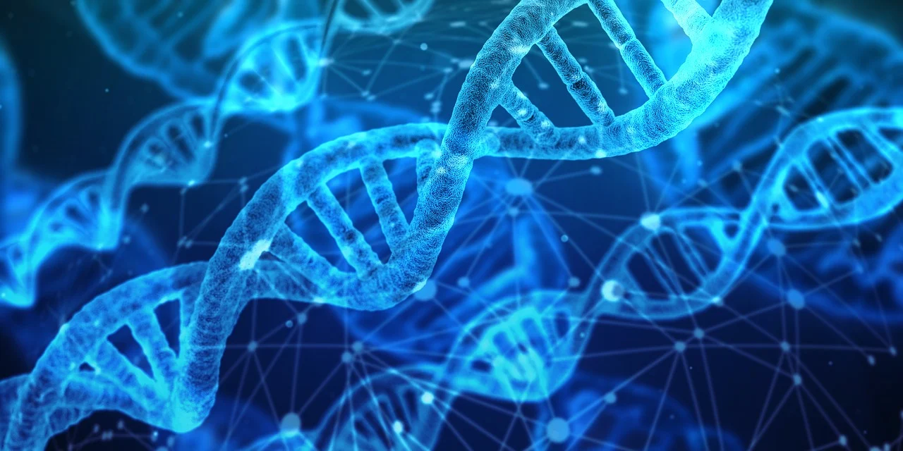 Read more about the article Why DNA Screams Out for a Designer